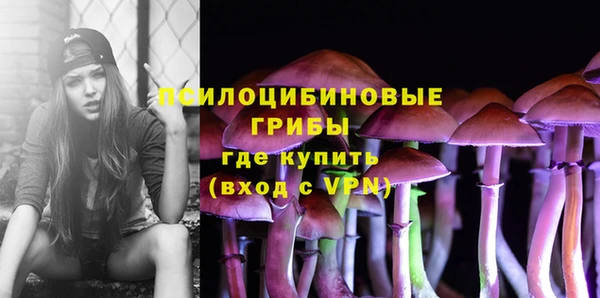 мдпв Богородицк
