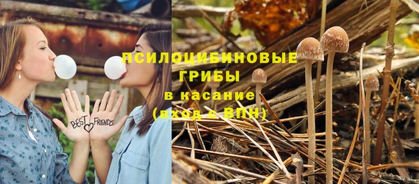 мдпв Богородицк