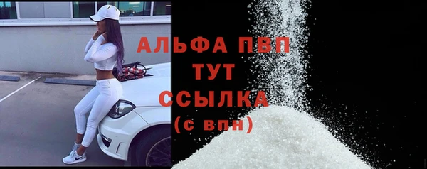 твердый Богданович