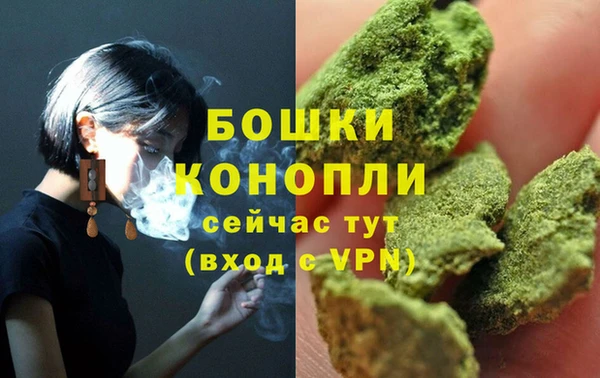 твердый Богданович