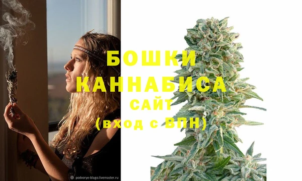 твердый Богданович
