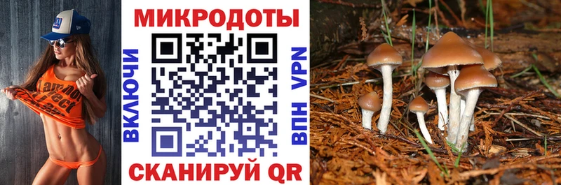 кракен как войти  магазин    Бородино  Галлюциногенные грибы Psilocybine cubensis 