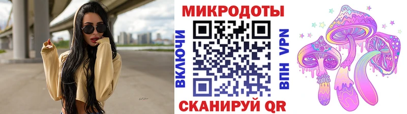 Галлюциногенные грибы Psilocybe Бородино